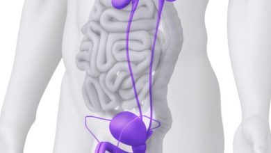 التهاب البربخ